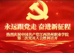 杏盛第二次党员大会